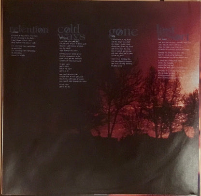 Discouraged Ones - secondary