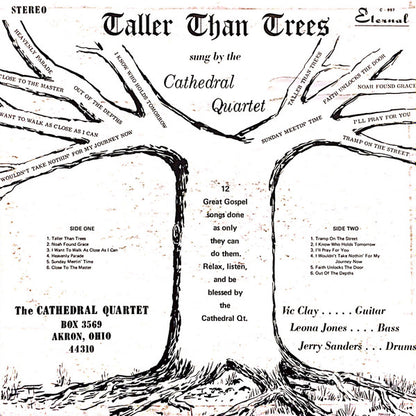 The Cathedrals - Taller Than Trees