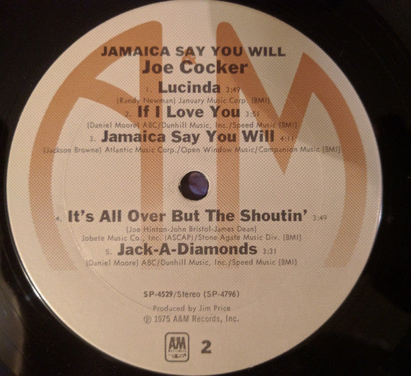 Jamaica Say You Will - secondary