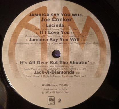 Jamaica Say You Will - secondary