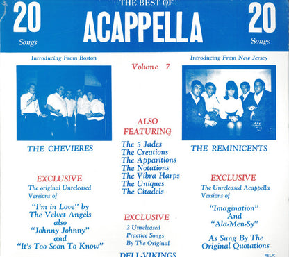 The Best Of Acappella Volume 7 - primary