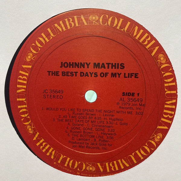 The Best Days Of My Life - secondary