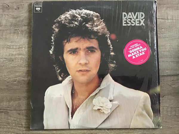 David Essex - secondary
