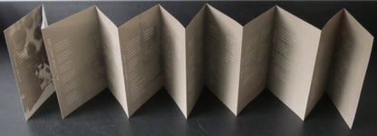 Head Carrier - secondary