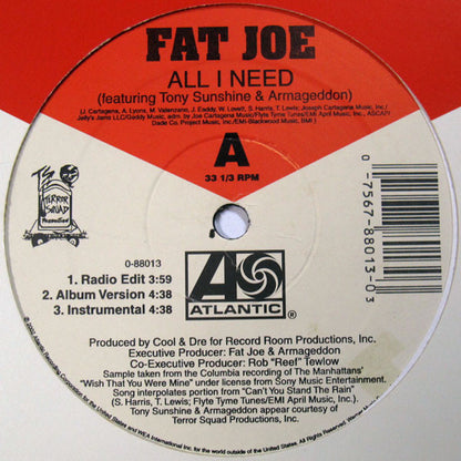 12" Single: Fat Joe - All I Need / Take A Look At My Life