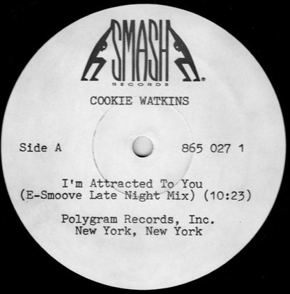 I'm Attracted To You - primary