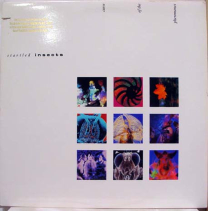 Startled Insects - Curse Of The Pheromones
