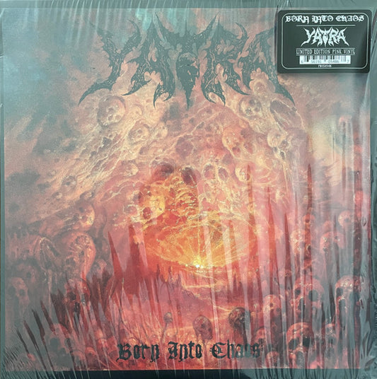 Born Into Chaos - primary