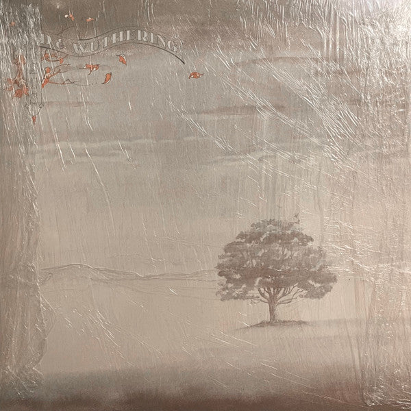 Wind & Wuthering - secondary