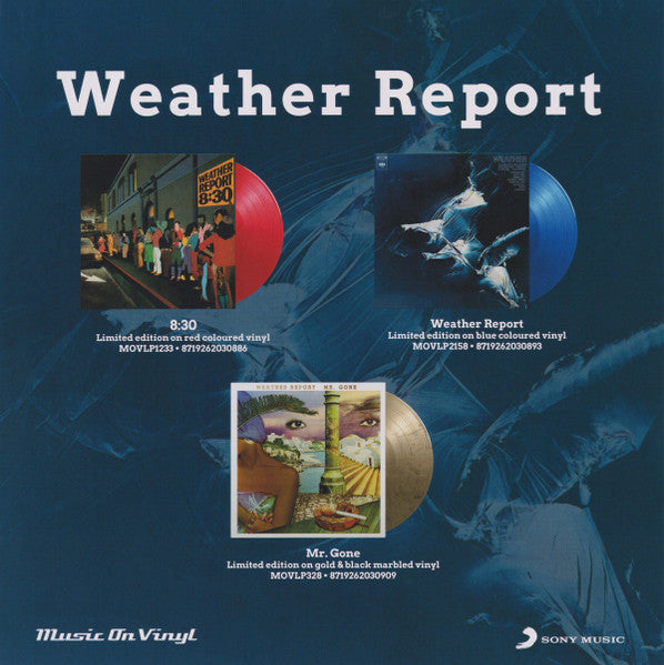 Mr. Gone - secondary