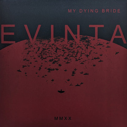 Evinta MMXX - primary