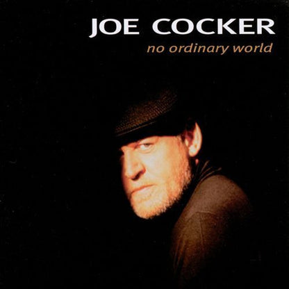 No Ordinary World - secondary