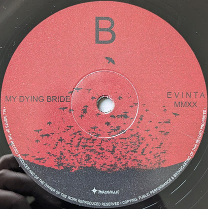 Evinta MMXX - secondary