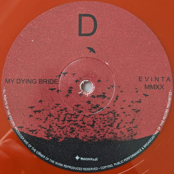 Evinta MMXX - secondary