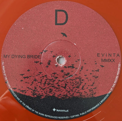 Evinta MMXX - secondary