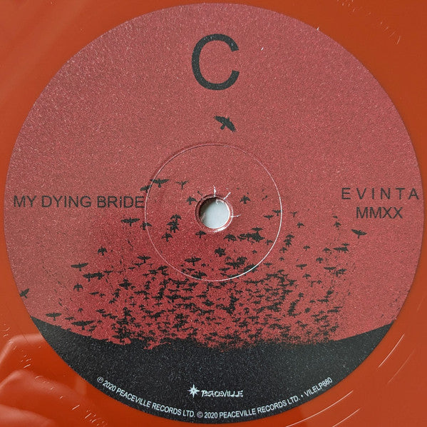 Evinta MMXX - secondary