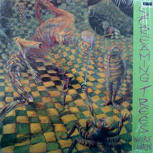 Invisible Lantern - primary