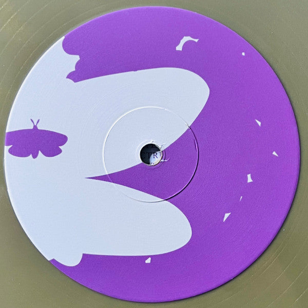 Noise Floor: Rarities 1998-2005 (A Companion) - secondary