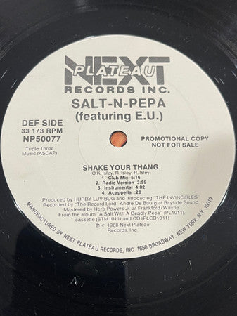 Shake Your Thang / Spinderella's Not A Fella (But A Girl DJ) - secondary