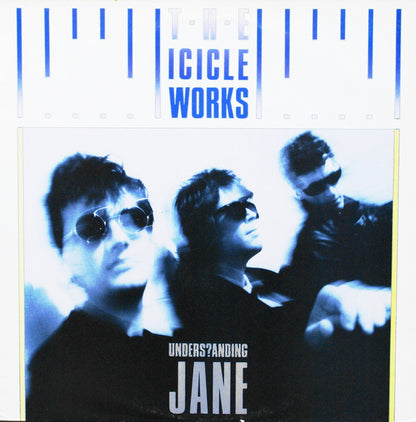 Understanding Jane - primary