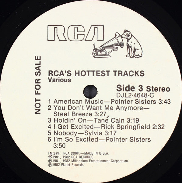 RCA's Hottest Tracks - secondary