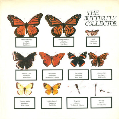 The Butterfly Collector - primary