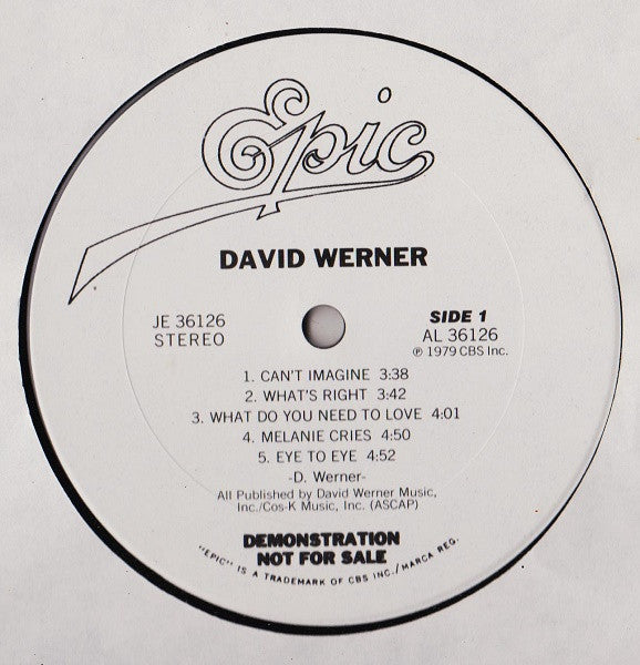 David Werner - secondary