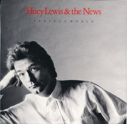 Perfect World - primary