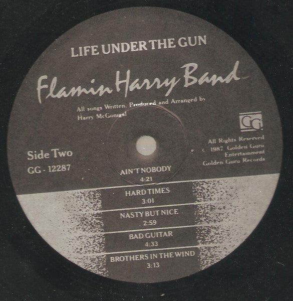 Life Under The Gun - secondary