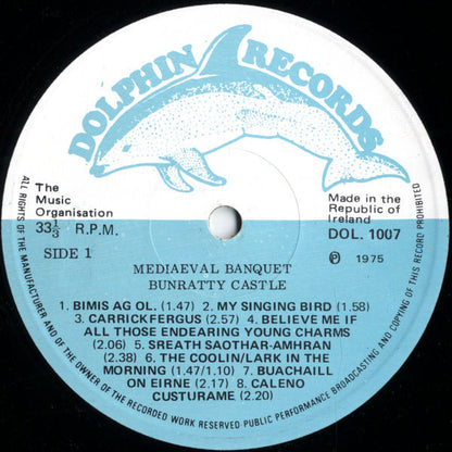 Mediaeval Banquet Bunratty Castle - secondary