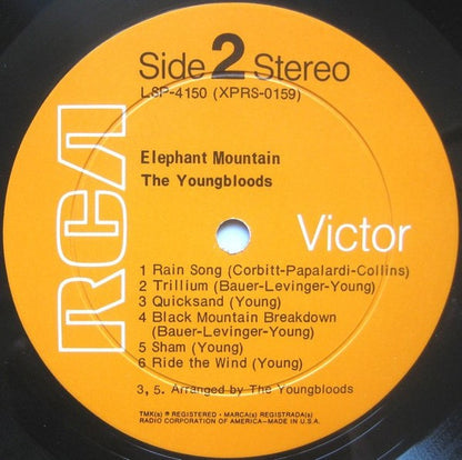 Elephant Mountain - secondary