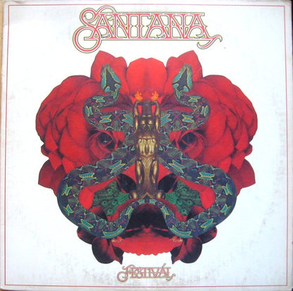 Festivál - primary