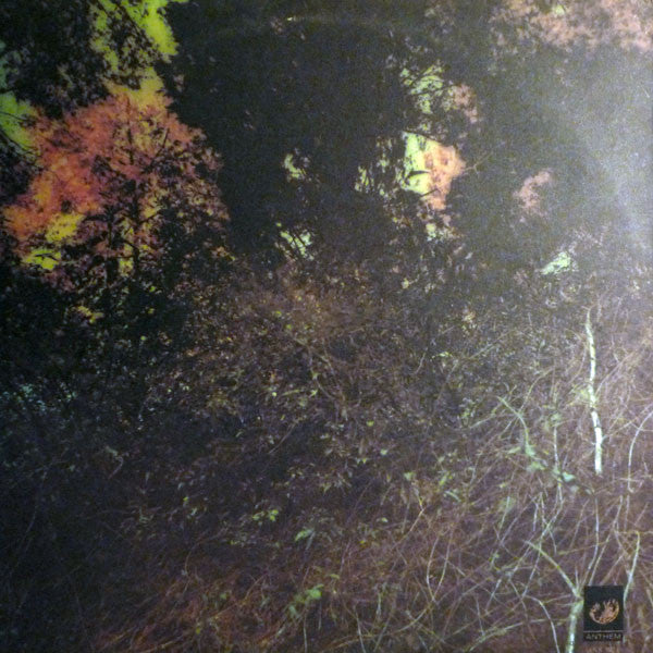 Roots And Branches - secondary