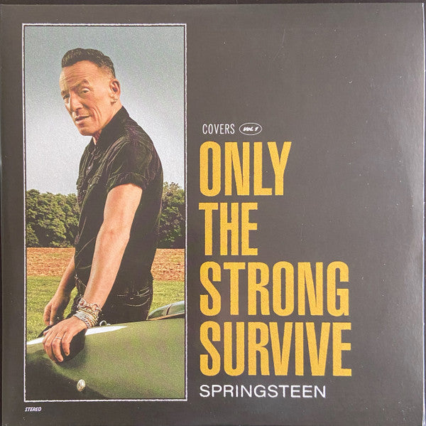 Only The Strong Survive (Covers Vol. 1) - primary