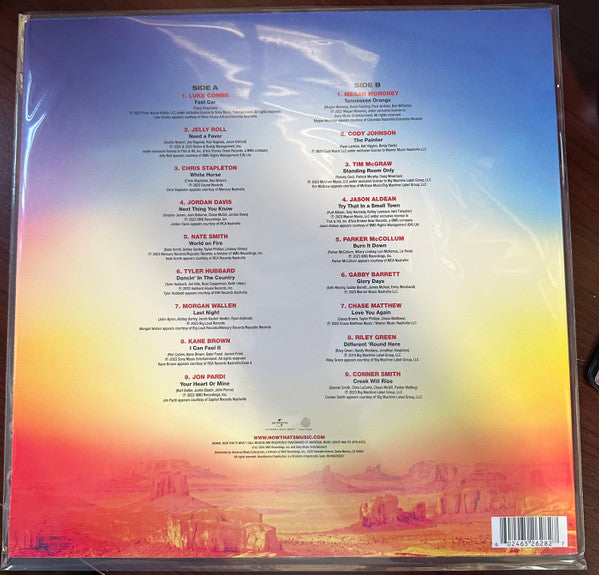 Now That's What I Call Country Volume 17 - secondary