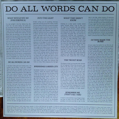 Do All Words Can Do - secondary