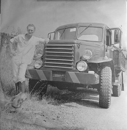 Horses & Trees - secondary