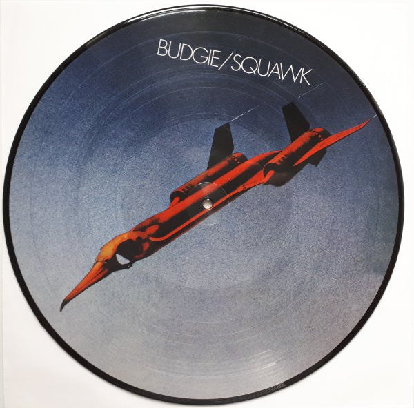 Squawk - secondary