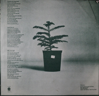 Chewing Pine - secondary