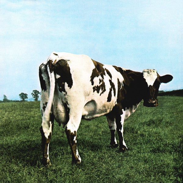 Atom Heart Mother - primary