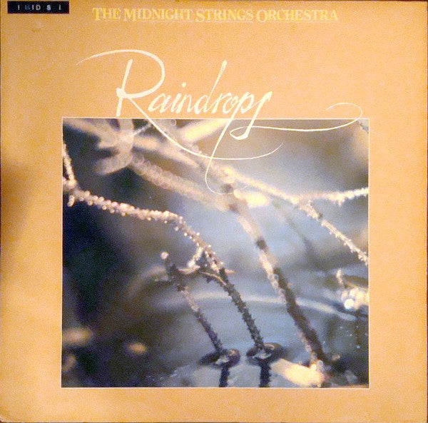 Raindrops - primary