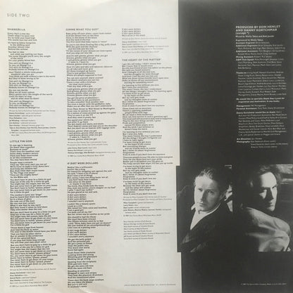 Don Henley - The End Of The Innocence