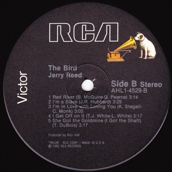 The Bird - secondary