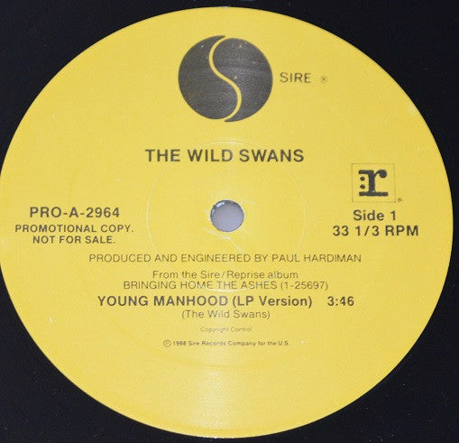 Young Manhood - secondary