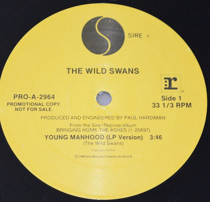 Young Manhood - secondary