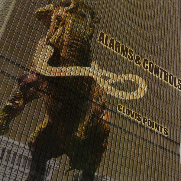 Clovis Points - primary