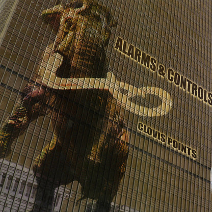 Clovis Points - primary