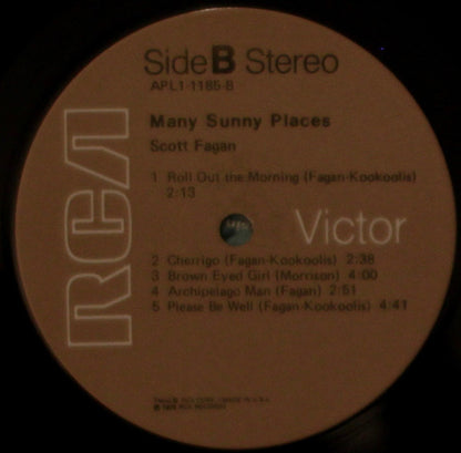 Many Sunny Places - secondary