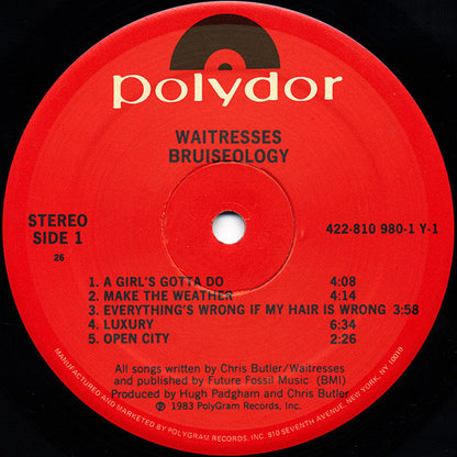 The Waitresses - Bruiseology