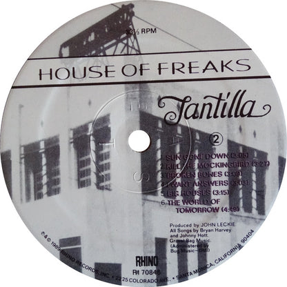 Tantilla - secondary